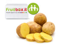 BOX PATATE PER GNOCCHI CHIPS
