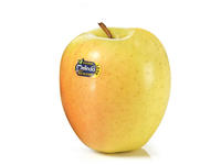 Mela Golden Delicious MELINDA