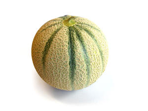 Melone Retato