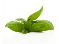 Basilico (conf. 30 gr)
