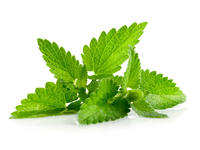 Menta (conf. 30 gr)