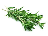 Rosmarino (conf. 30 gr)