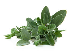 Salvia (conf. 30 gr)