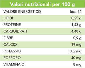 Radicchio precoce