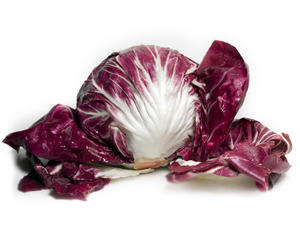 Radicchio tondo