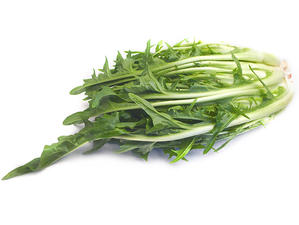 Catalogna cimata