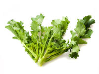 Cime di rapa (Conf. 1 Kg)