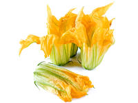 Fiori di zucchina (100 gr/10 pezzi ca)