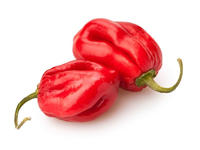 Peperoncino Habanero (conf. 125 gr)