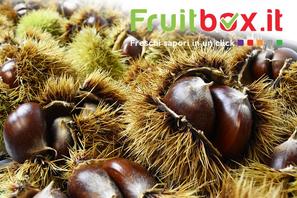 È arrivato l'autunno su Fruitbox.it! Nel loro riccio queste castagne sono favolose da vedere e da mangiare. Le trovi in vendita sul nostro sito, sf...