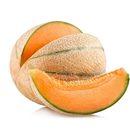 Il Melone Retato Mundial è sicuramente tra i più pregiati meloni retati. Coltivato da anni con successo in Sicilia, nelle zone di Ispica e Pachino...