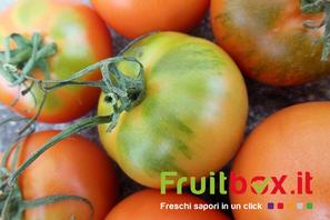 Tra i pomodori che vi propone Fruitbox, il CAMONE rimane una primizia invernale che dovete assolutamente provare...
http://www.fruitbox.it/Frutta-e-...
