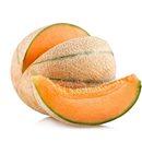 Il Melone Retato Mundial è sicuramente tra i più pregiati meloni retati. Coltivato da anni con successo in Sicilia, nelle zone di Ispica e Pachino...