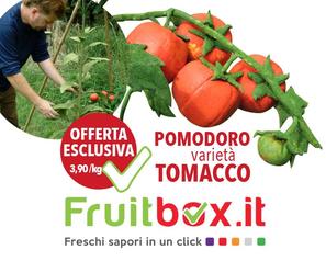 Per anni si è creduto che fosse un'invenzione di una serie TV, ma il Pomodoro della varietà Tomacco esiste e lo potete acquistare in offerta su Fr...