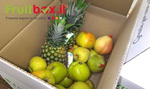 Primo box della giornata...ma voi cosa aspettate? Avete già provato la nostra frutta? Fruitbox...freschi sapori in un click!
http://www.fruitbox.it...